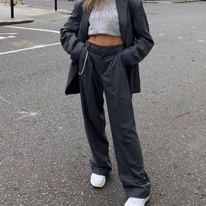 Zara Wide Leg Pants With Darts